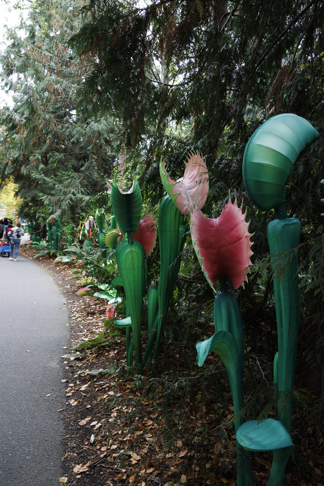 Woodland Park Zoo — photo 42